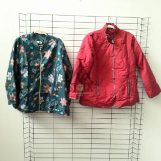 Veste - 50 pièces