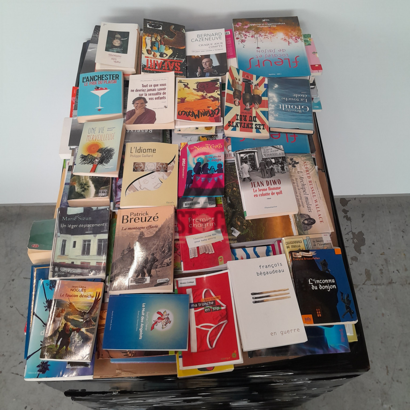 Livre - 1000 pièces