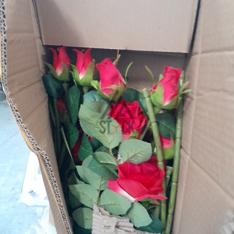 PALETTE A****N - A41