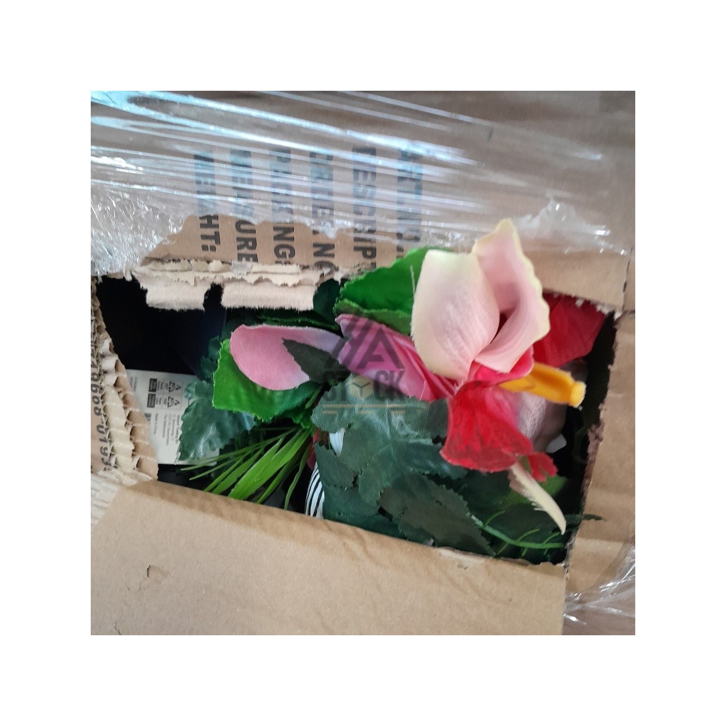 PALETTE A****N - A44