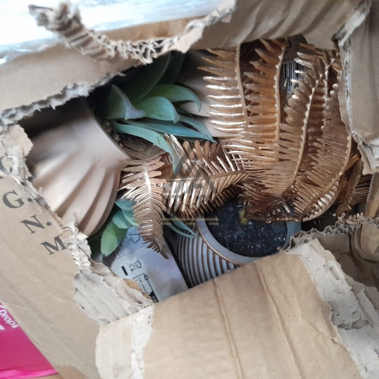 PALETTE A****N - A44