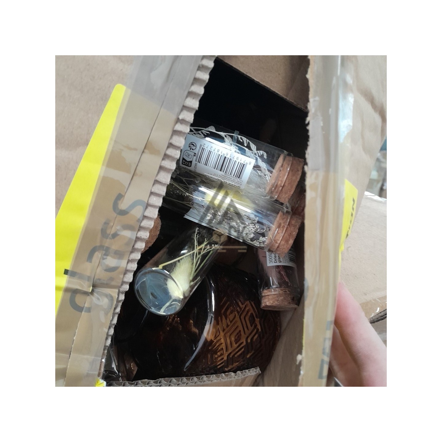 PALETTE A****N - A51