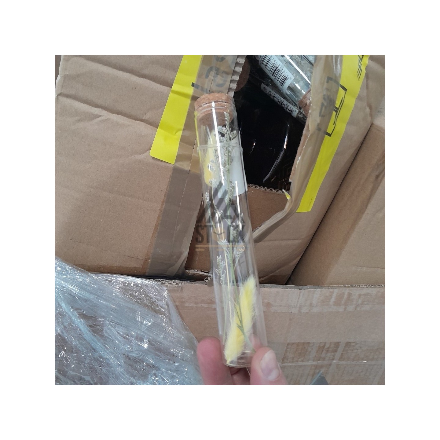 PALETTE A****N - A51