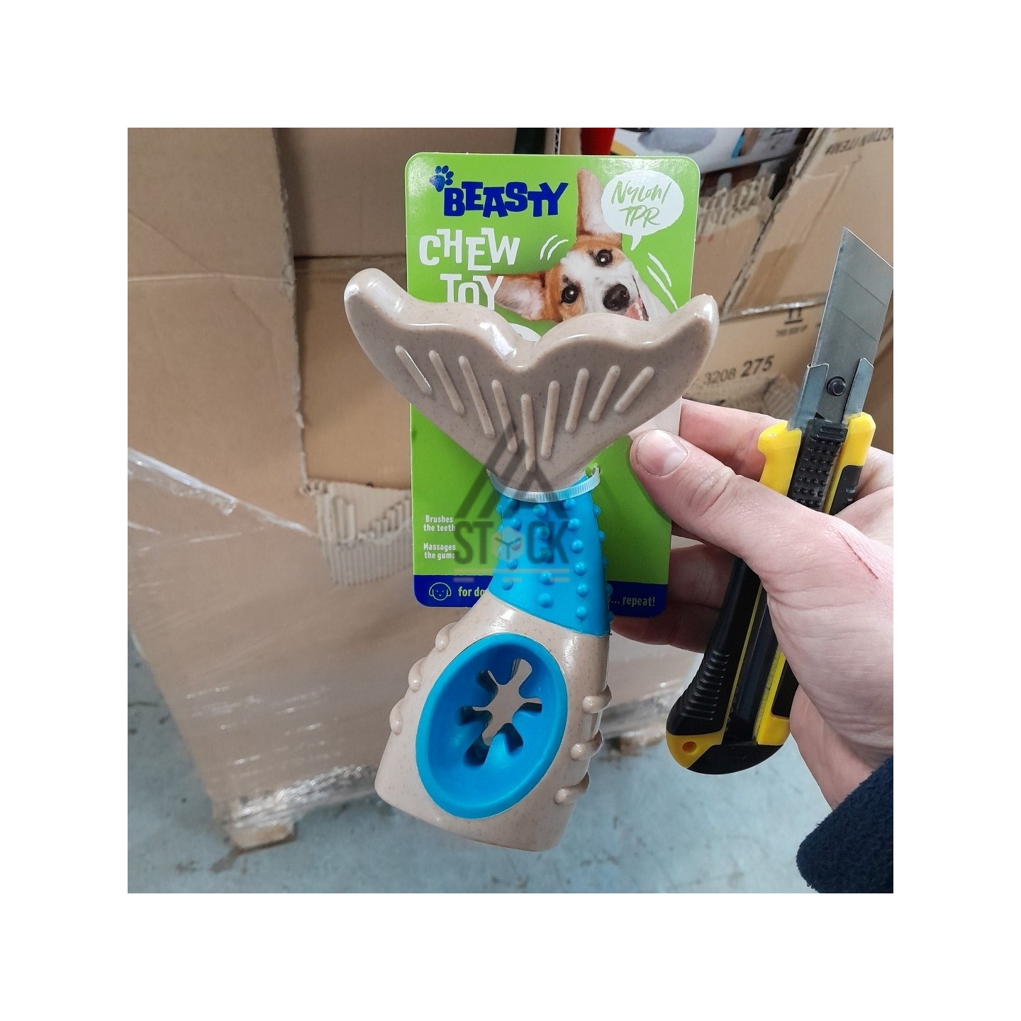 PALETTE A****N - A61