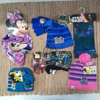 Hiver LICENCE - 50 pièces