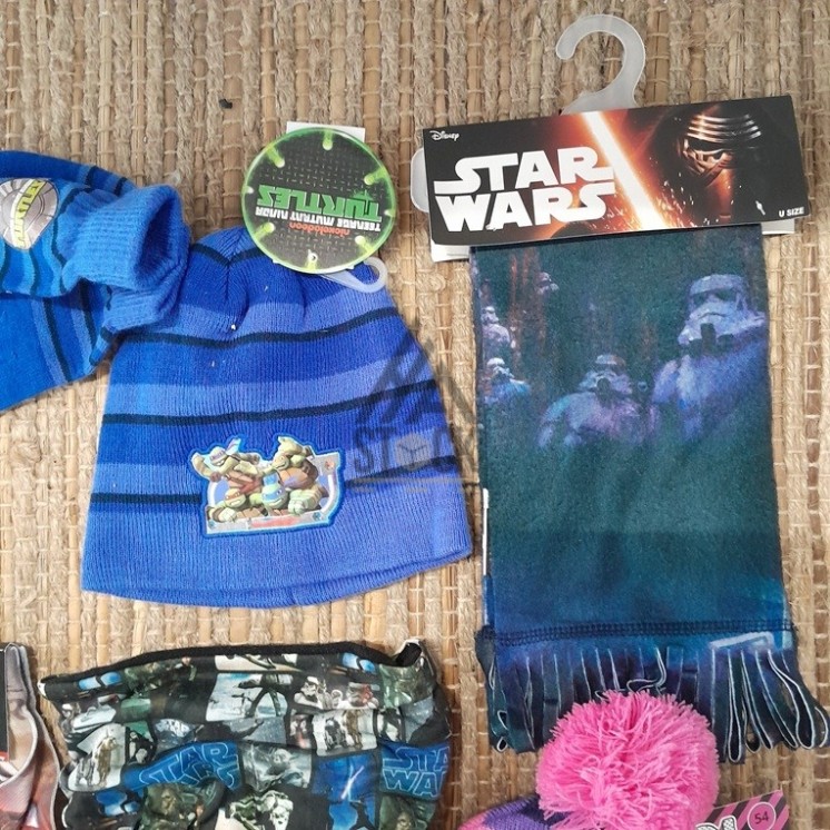 Hiver LICENCE - 50 pièces