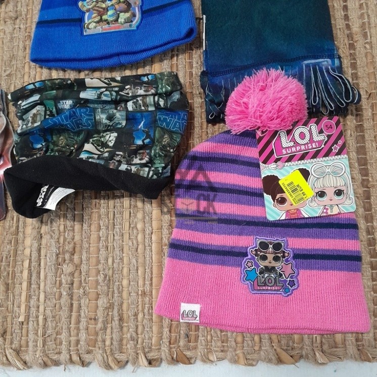 Hiver LICENCE - 50 pièces