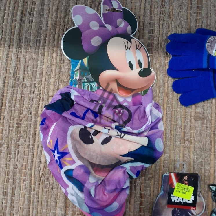 Hiver LICENCE - 50 pièces