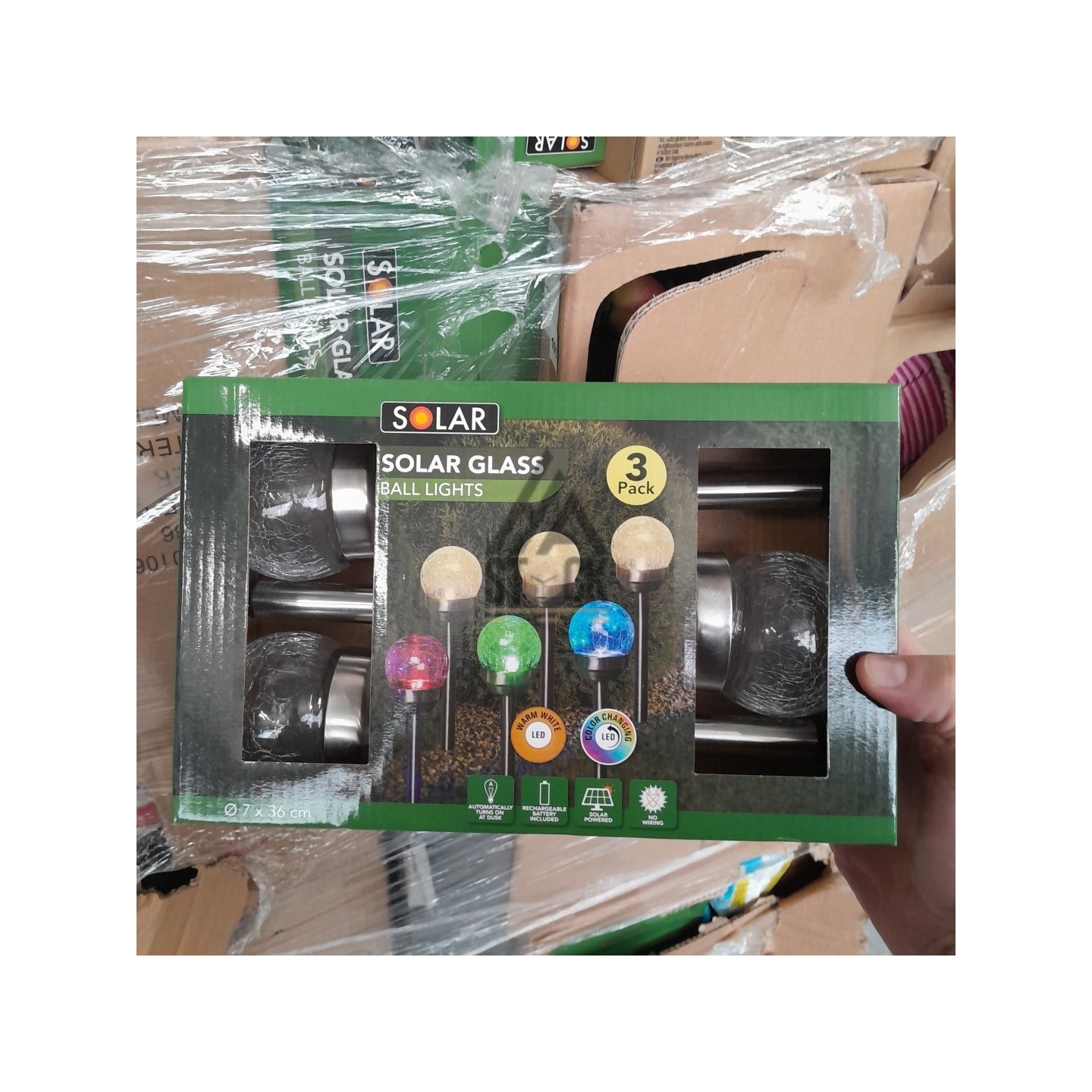 PALETTE A****N - A67