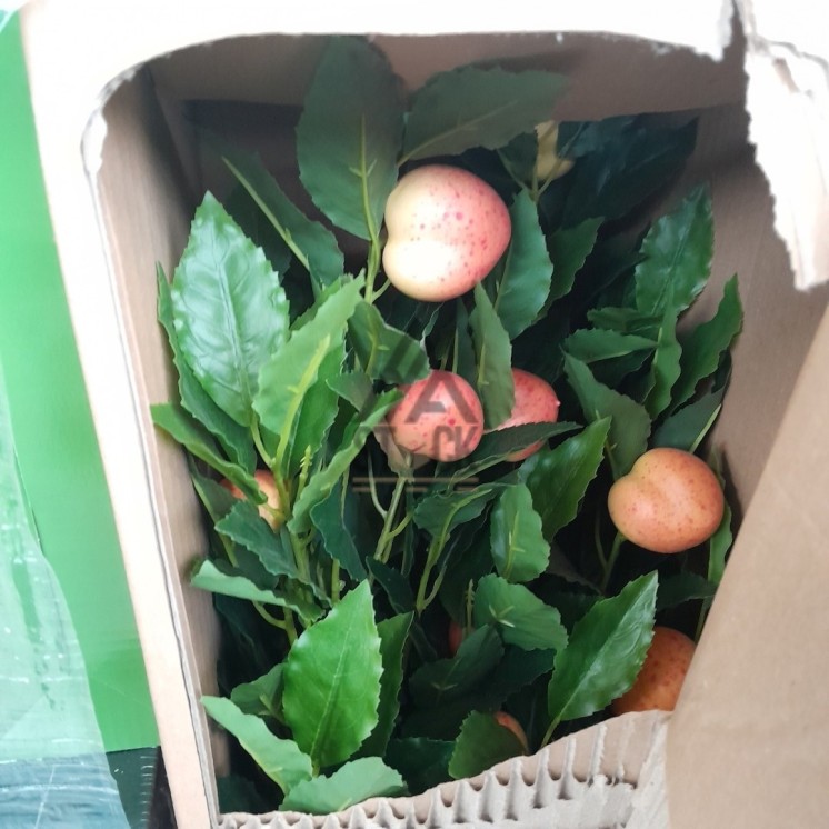 PALETTE A****N - A67