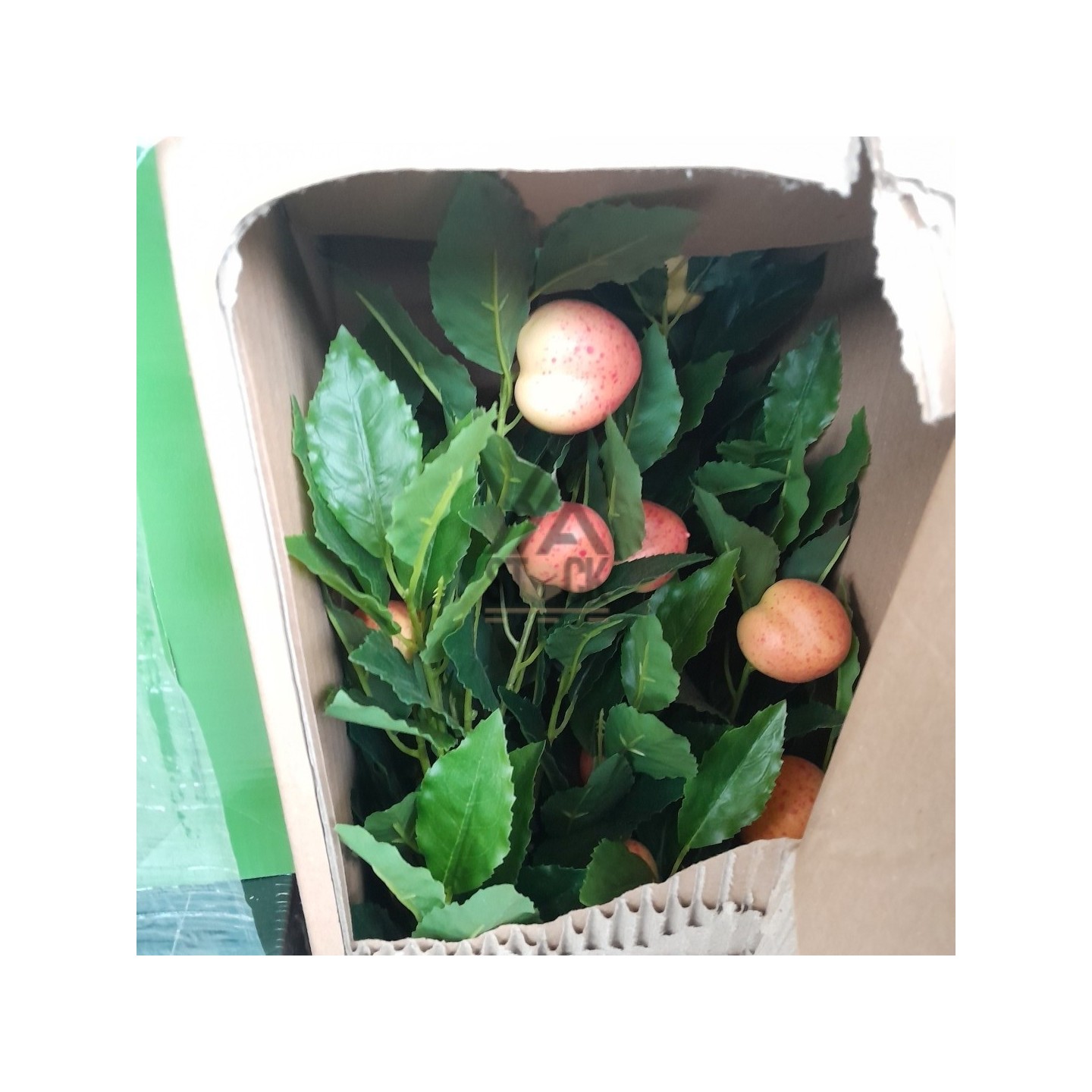 PALETTE A****N - A67