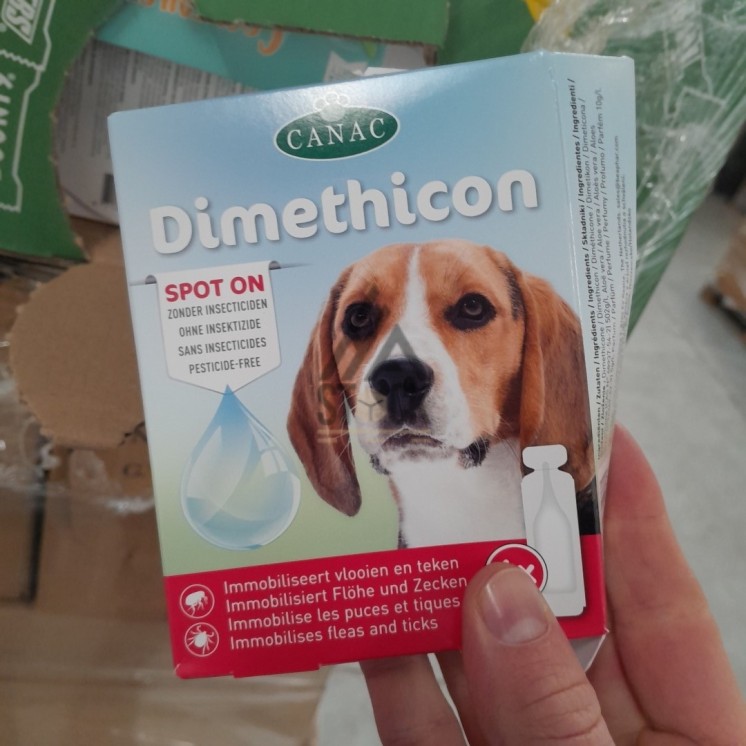 PALETTE A****N - A67