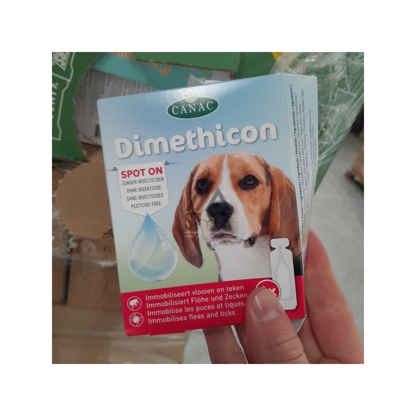 PALETTE A****N - A67