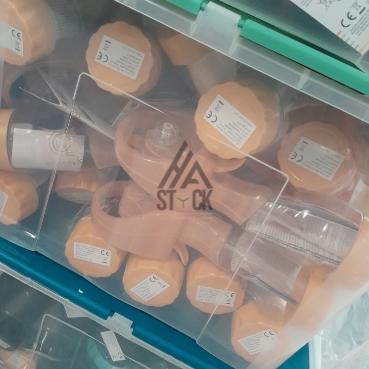 PALETTE A****N - A71