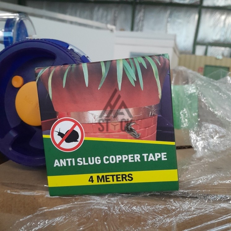 PALETTE A****N - A79