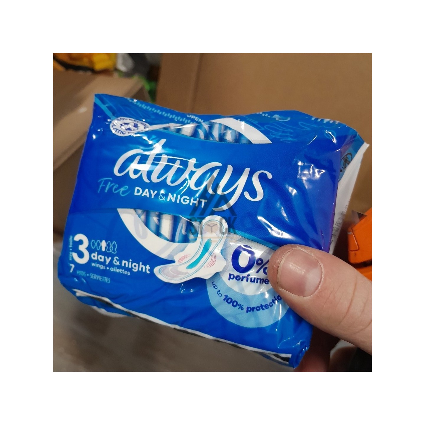 PALETTE A****N - A81