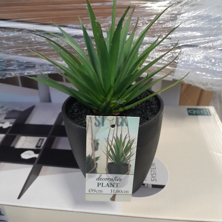 PALETTE A****N - A82