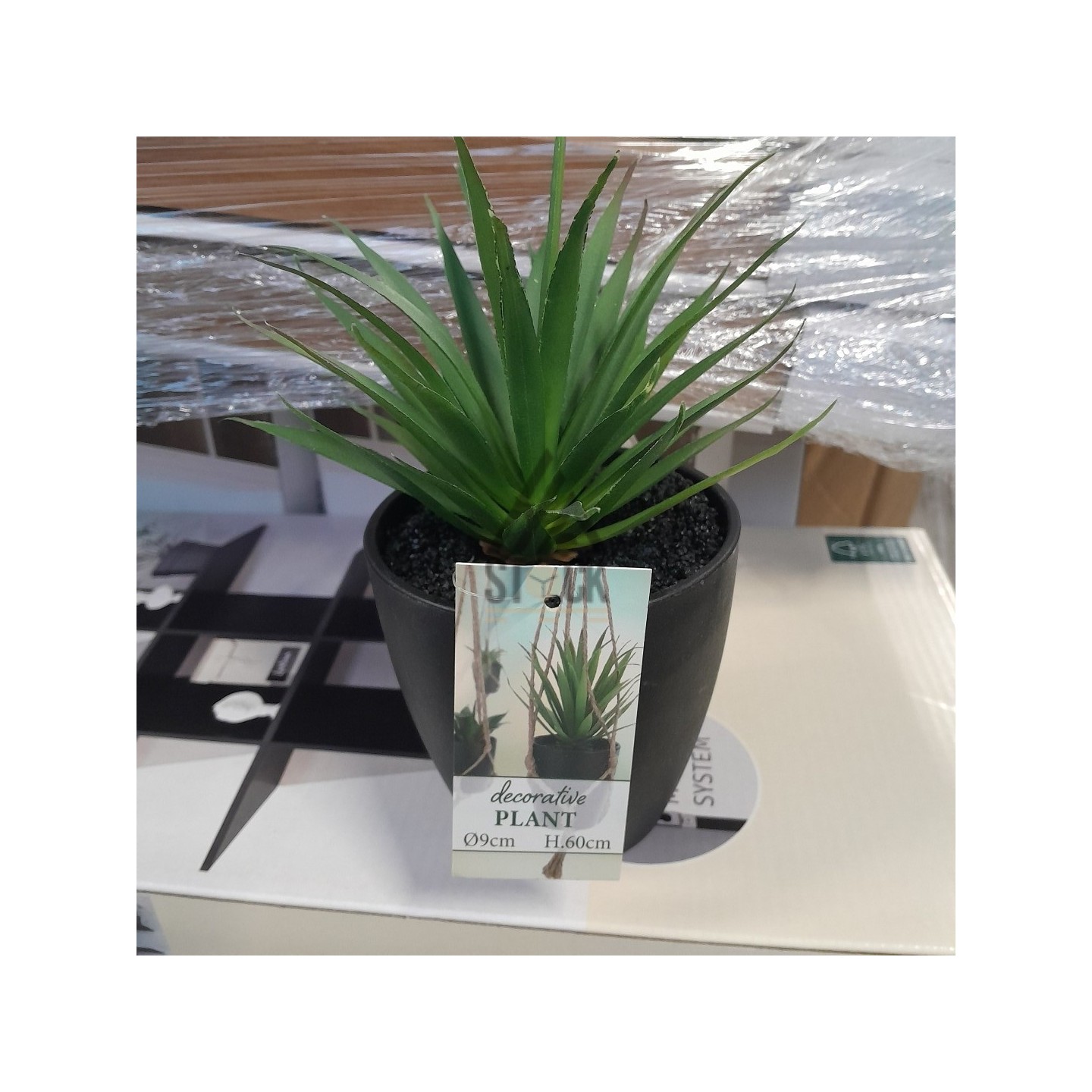 PALETTE A****N - A82