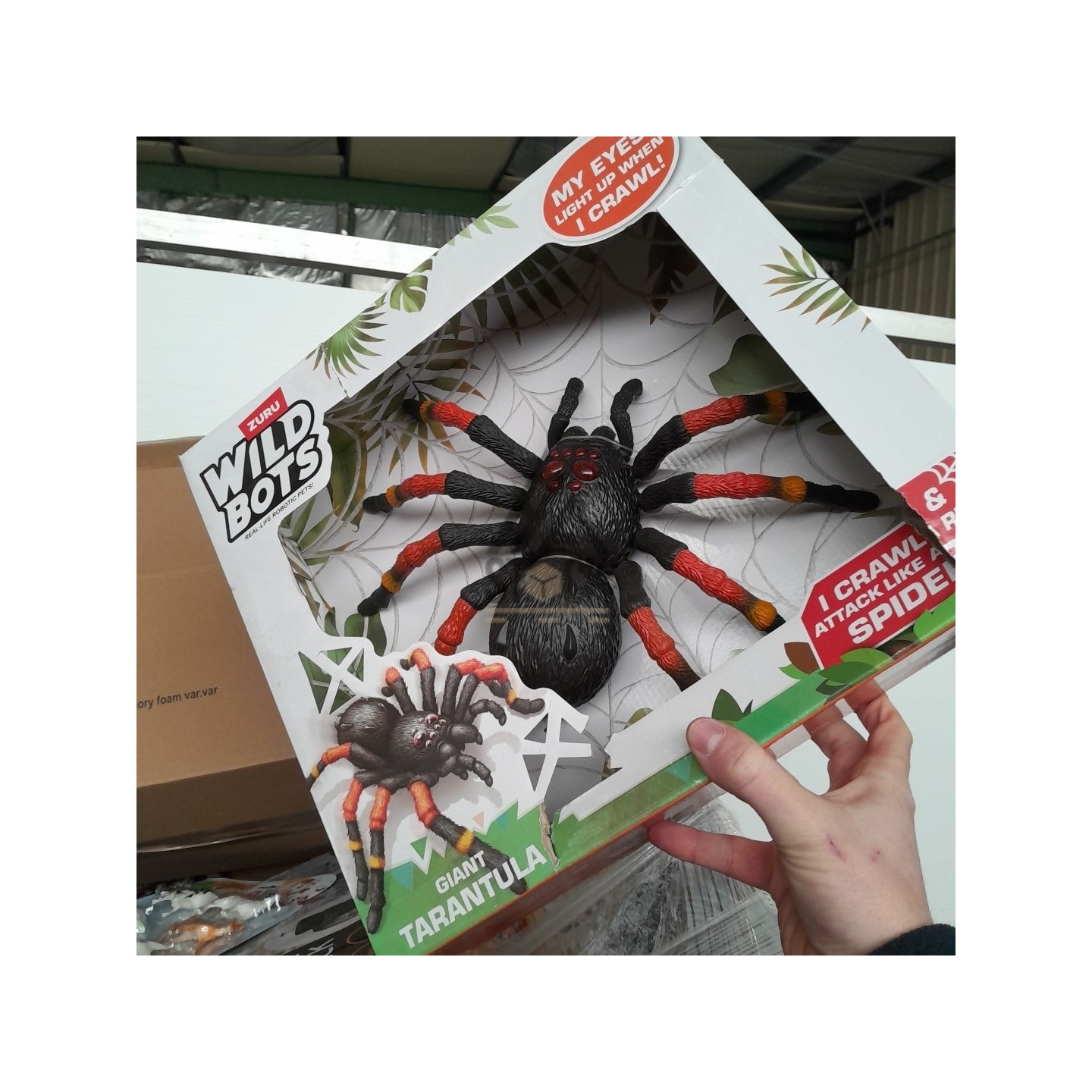 PALETTE A****N - A88