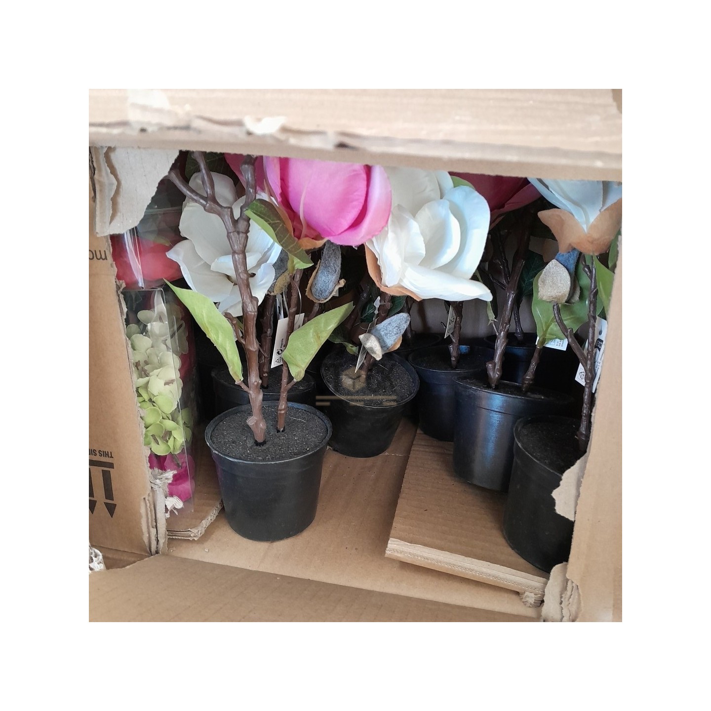 PALETTE A****N - A94