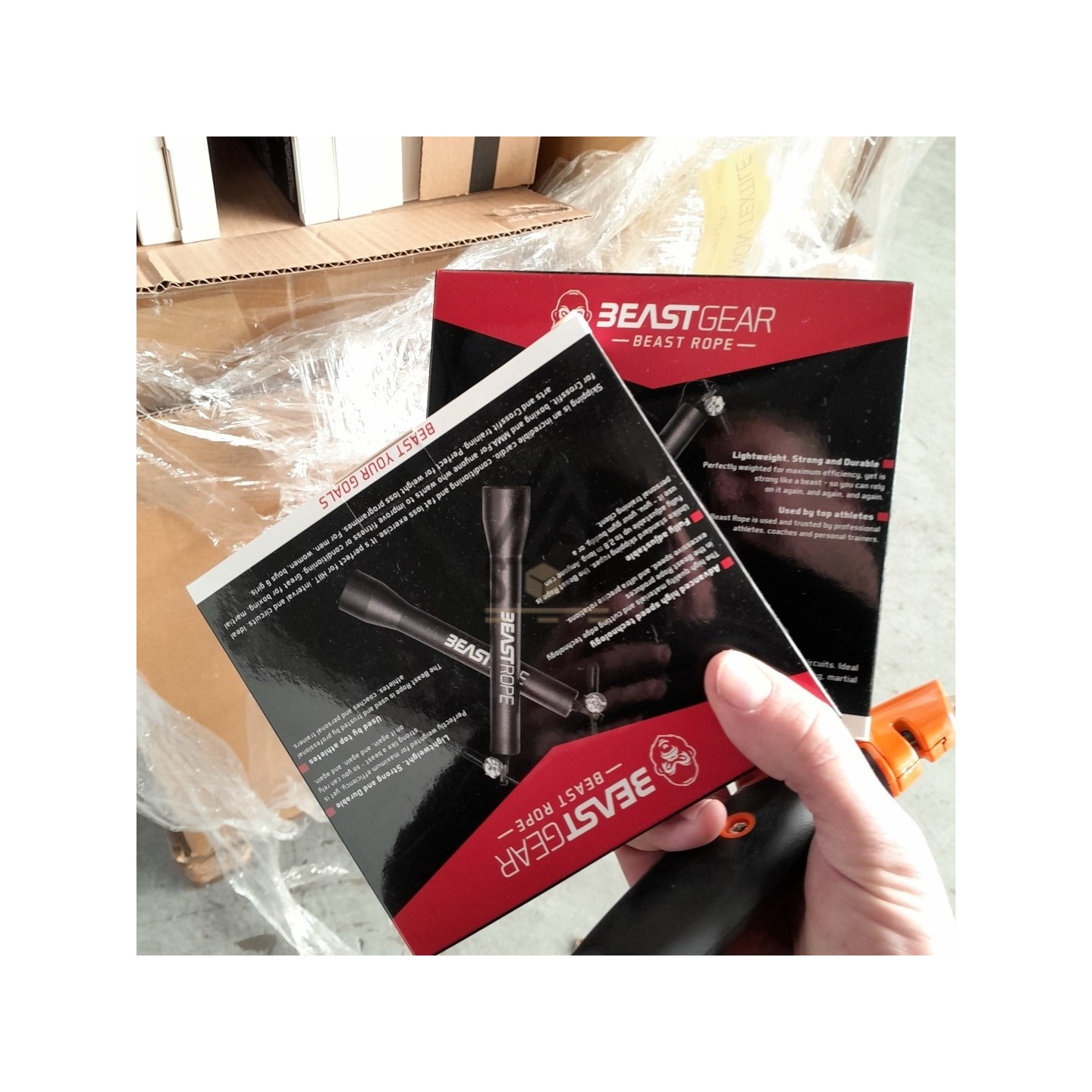 PALETTE A****N - A96