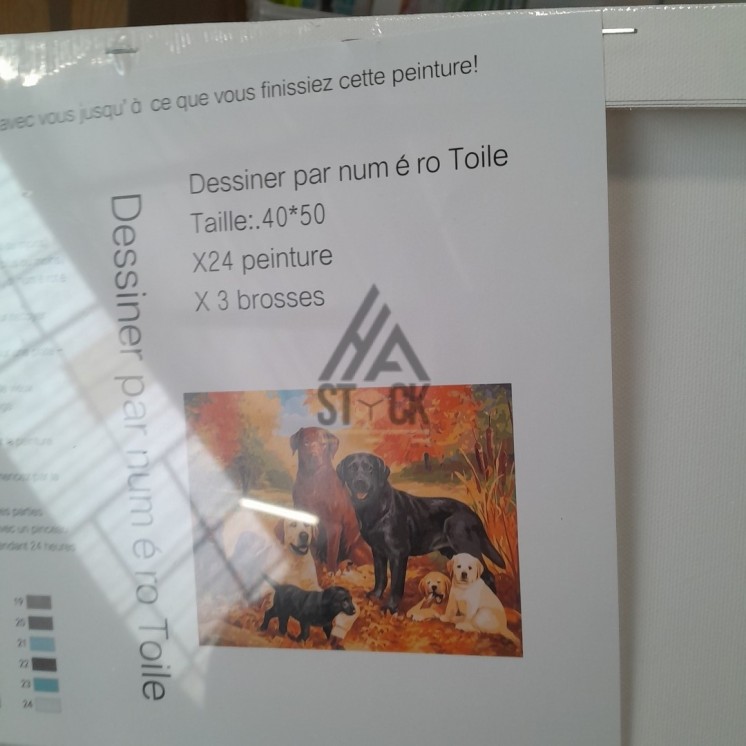 Peinture par numéro - 40 pièces