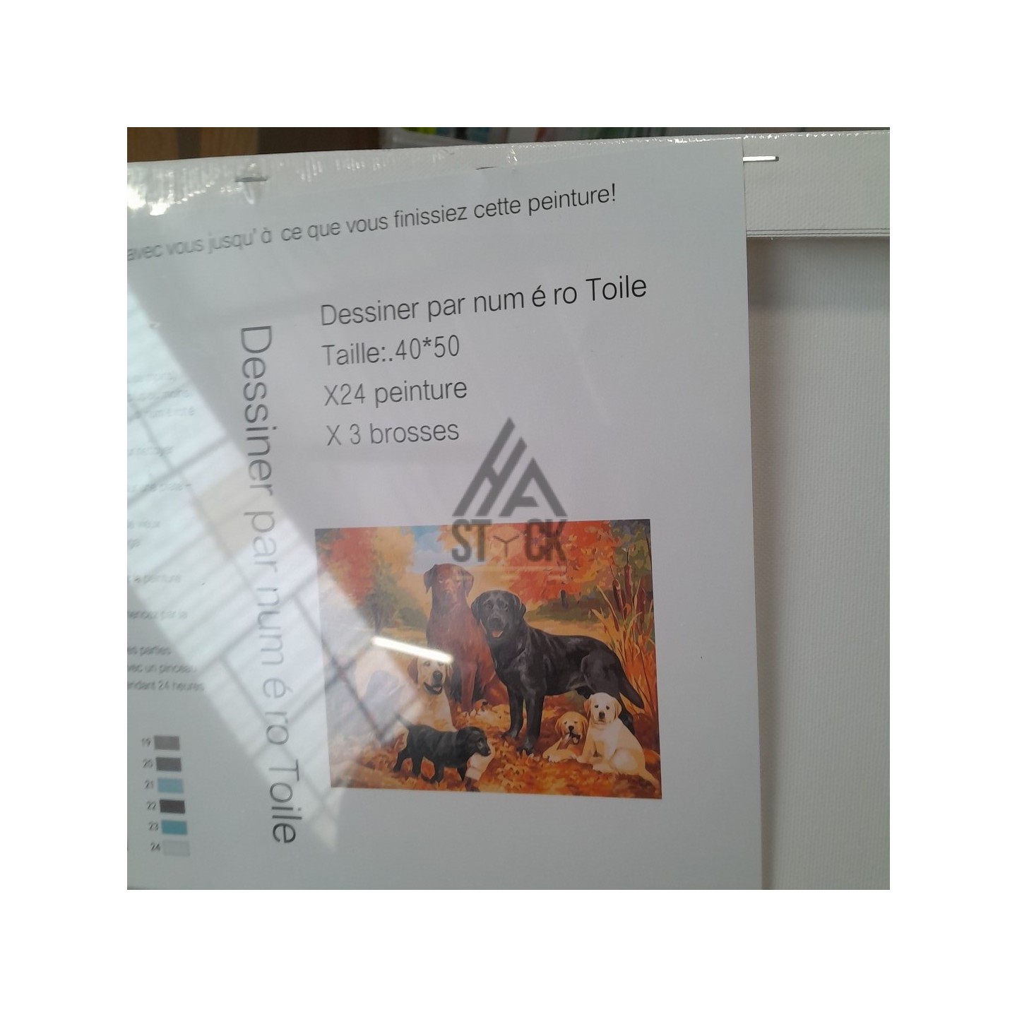 Peinture par numéro - 40 pièces