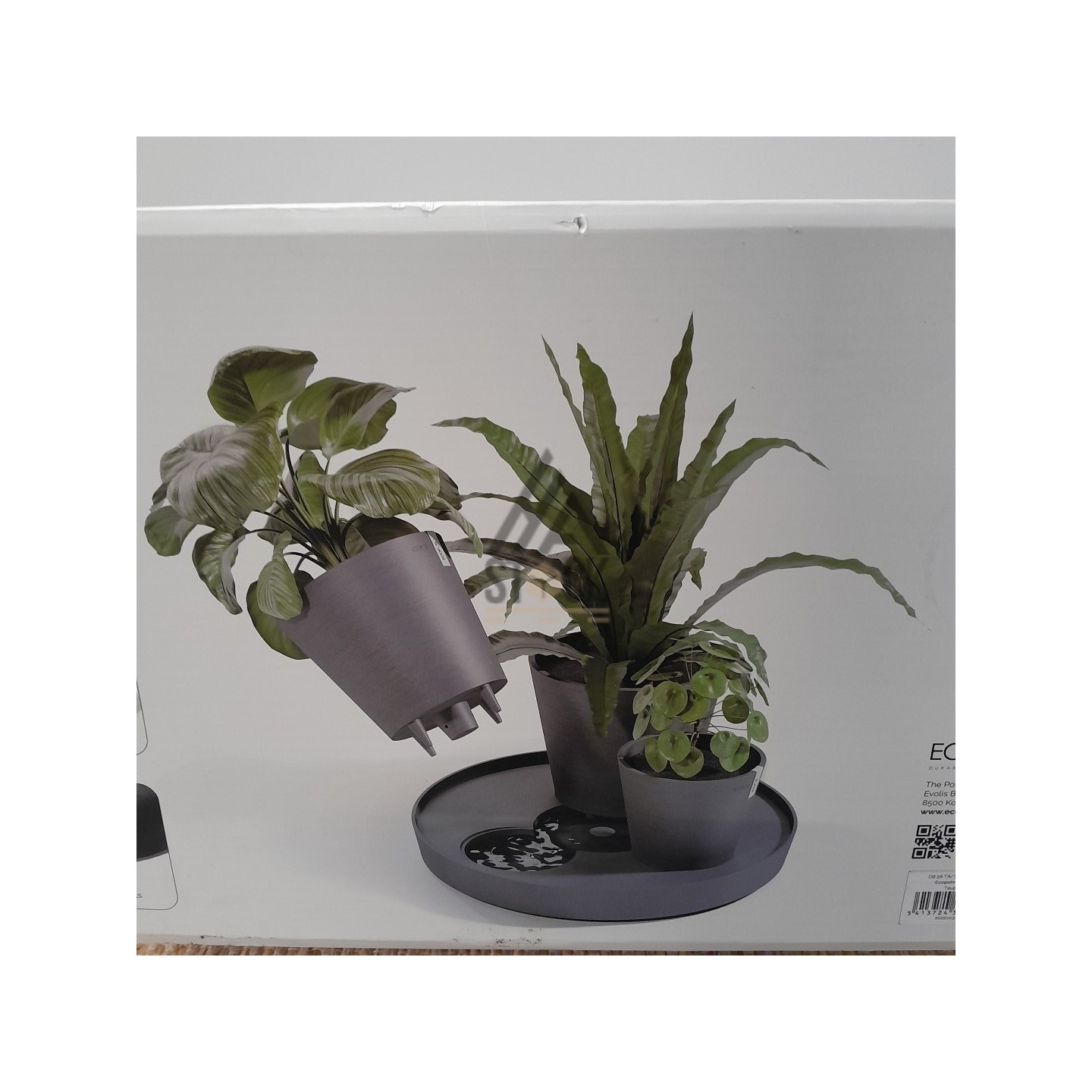 ECOPOTS -DUBAI - 3 pièces