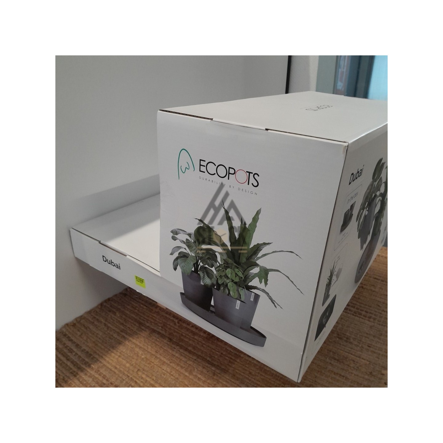 ECOPOTS -DUBAI - 3 pièces