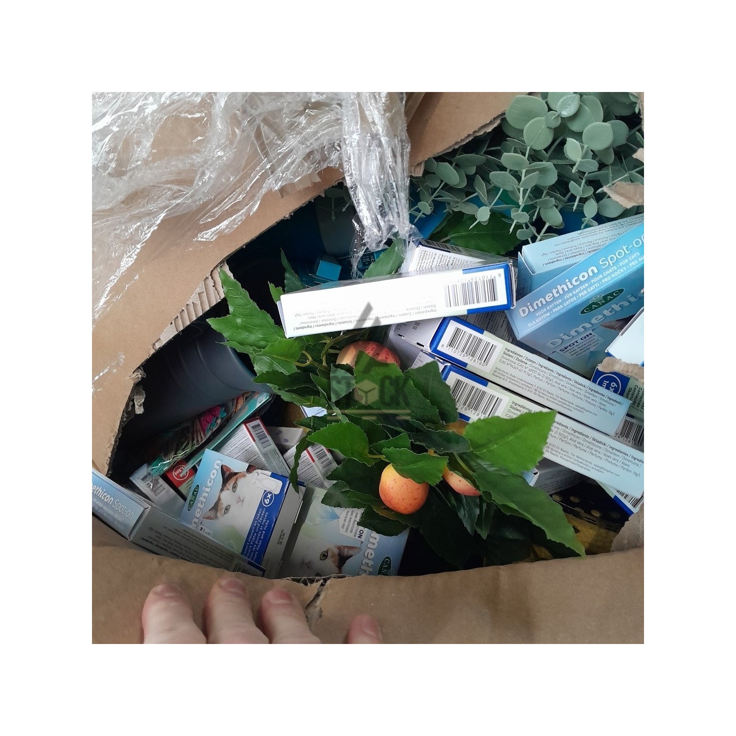 PALETTE A****N - A173