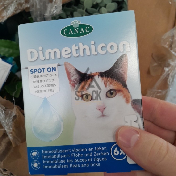 PALETTE A****N - A173