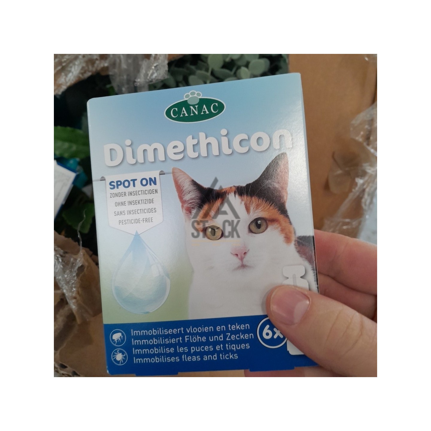 PALETTE A****N - A173