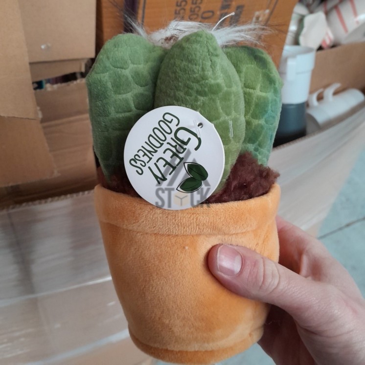 PALETTE A****N - A188