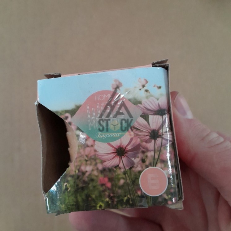 PALETTE A****N - A203