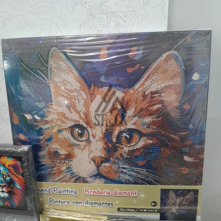 Toile Diamond painting & peinture - 48 pièces