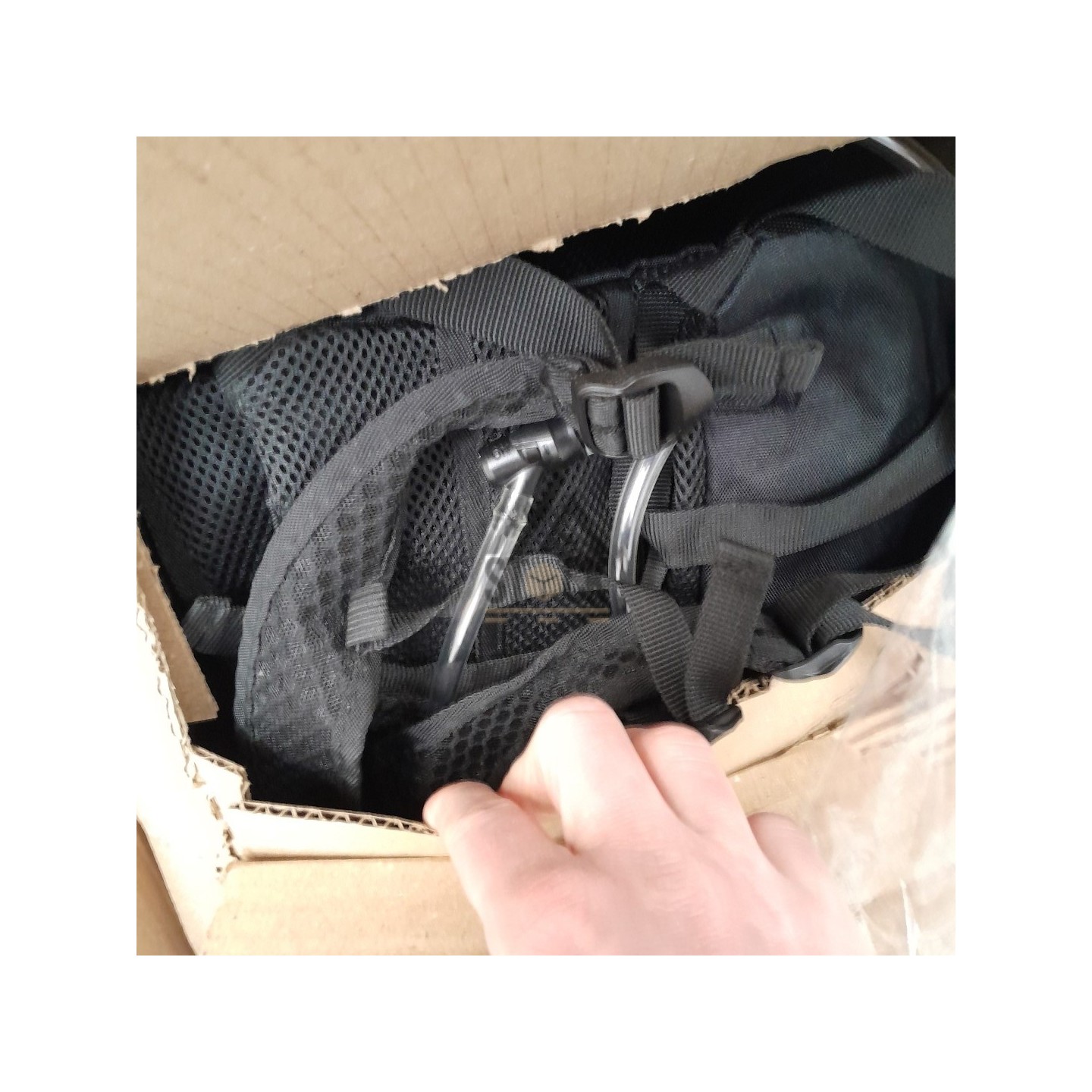 PALETTE A****N - A220