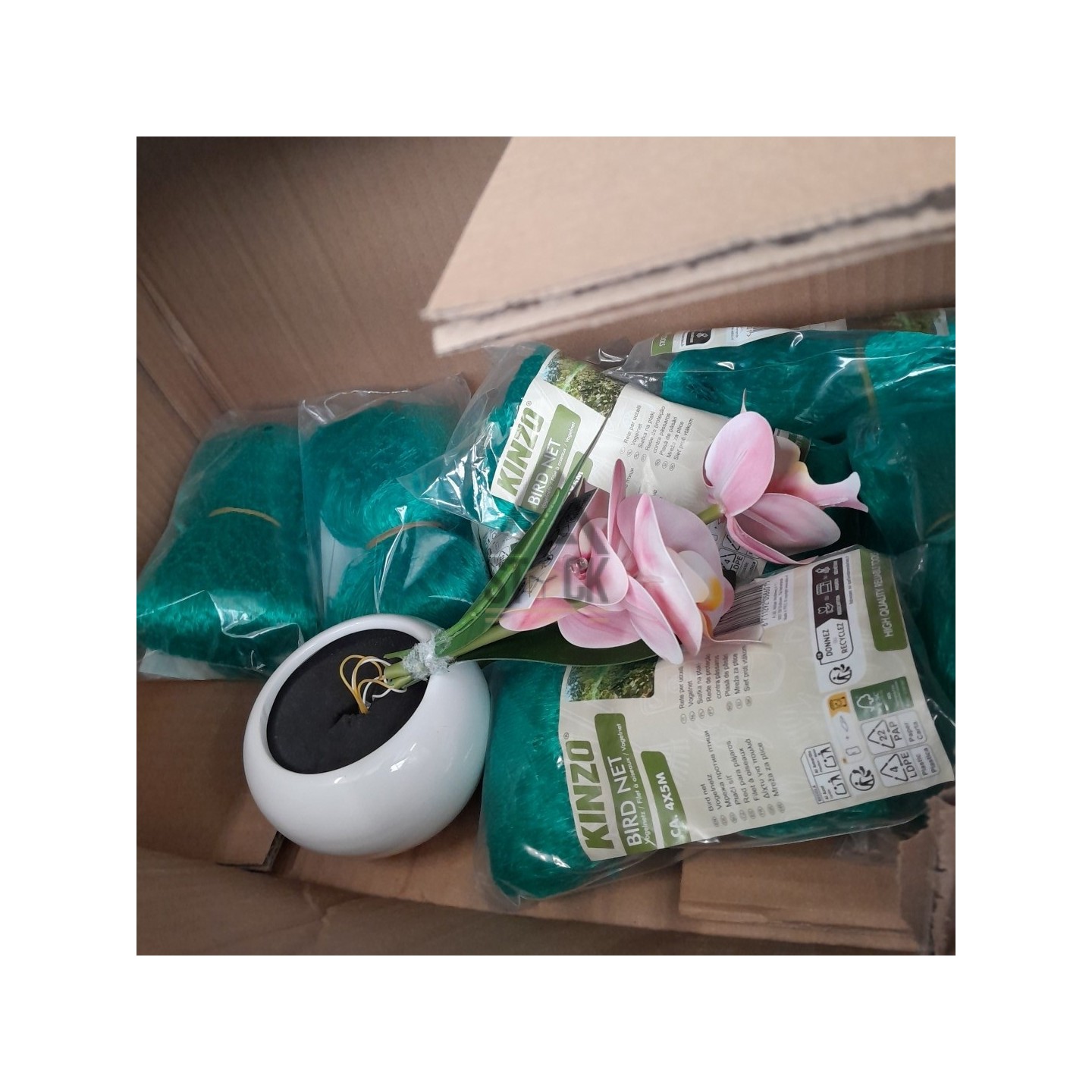 PALETTE A****N - A228