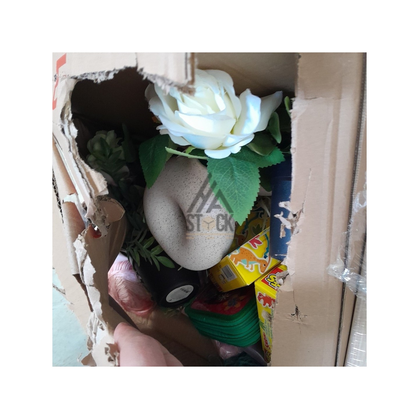 PALETTE A****N - A230