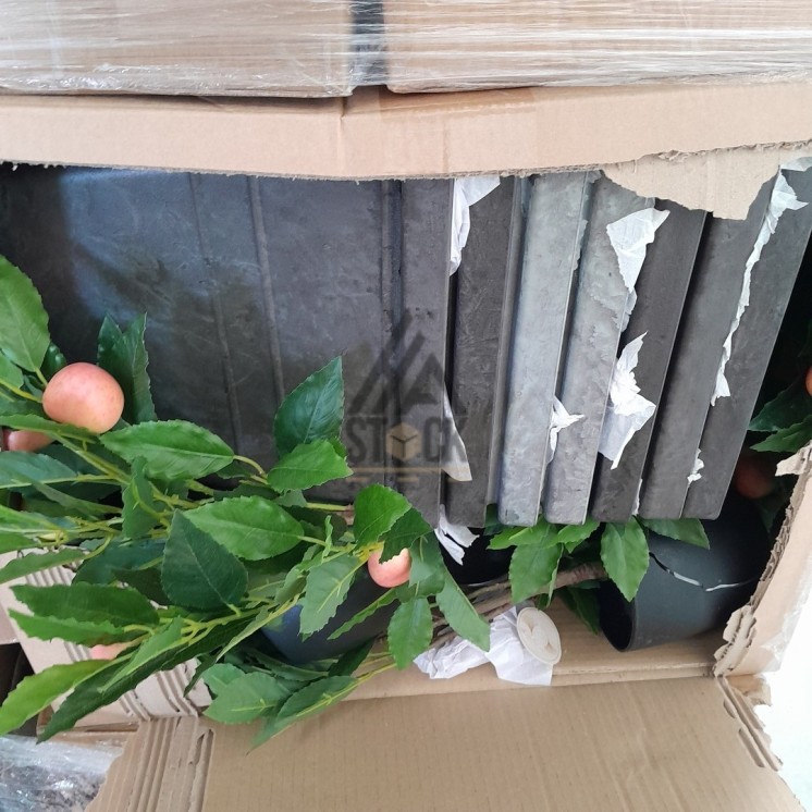 PALETTE A****N - A231