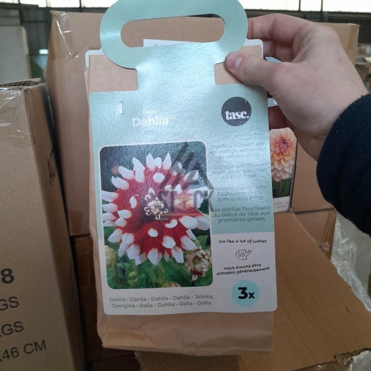 PALETTE A****N - A235