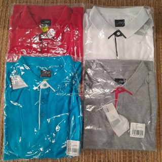 Polo - JAMES & NICHOLSON - 40 pièces