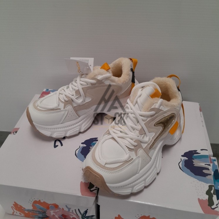 Basket - MSMG - 15 pièces