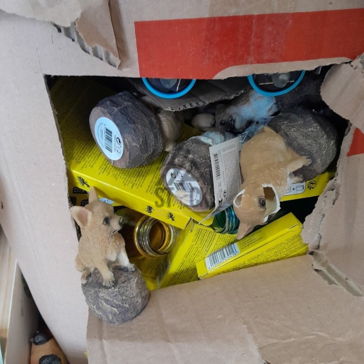 PALETTE A****N - A242