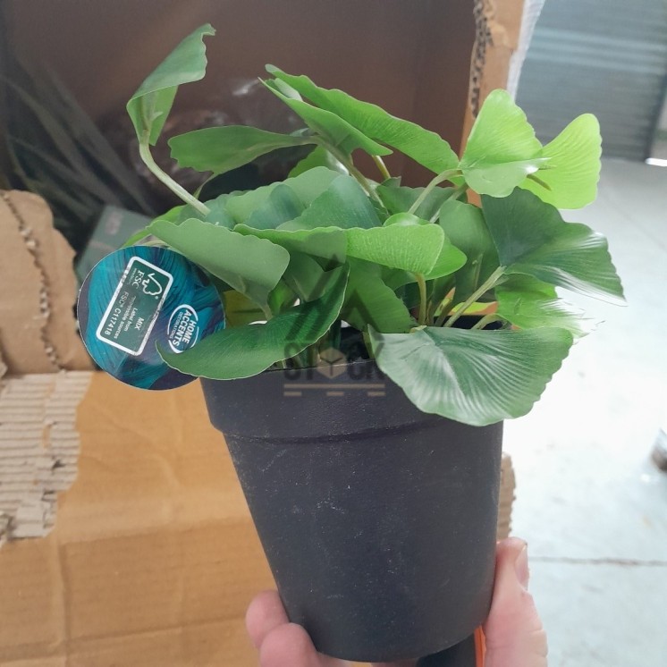 PALETTE A****N - A247