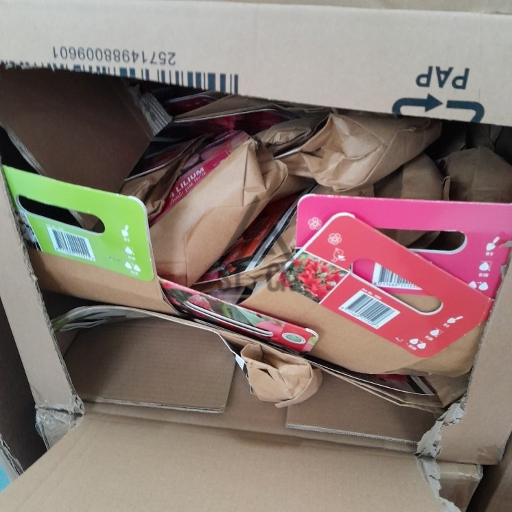 PALETTE A****N - A257