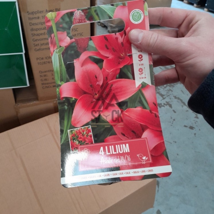 PALETTE A****N - A257