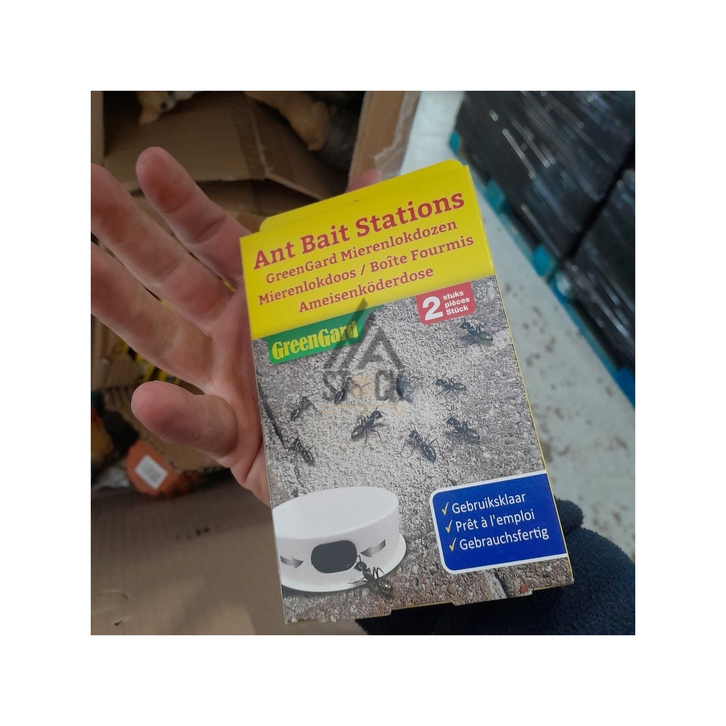 PALETTE A****N - A260