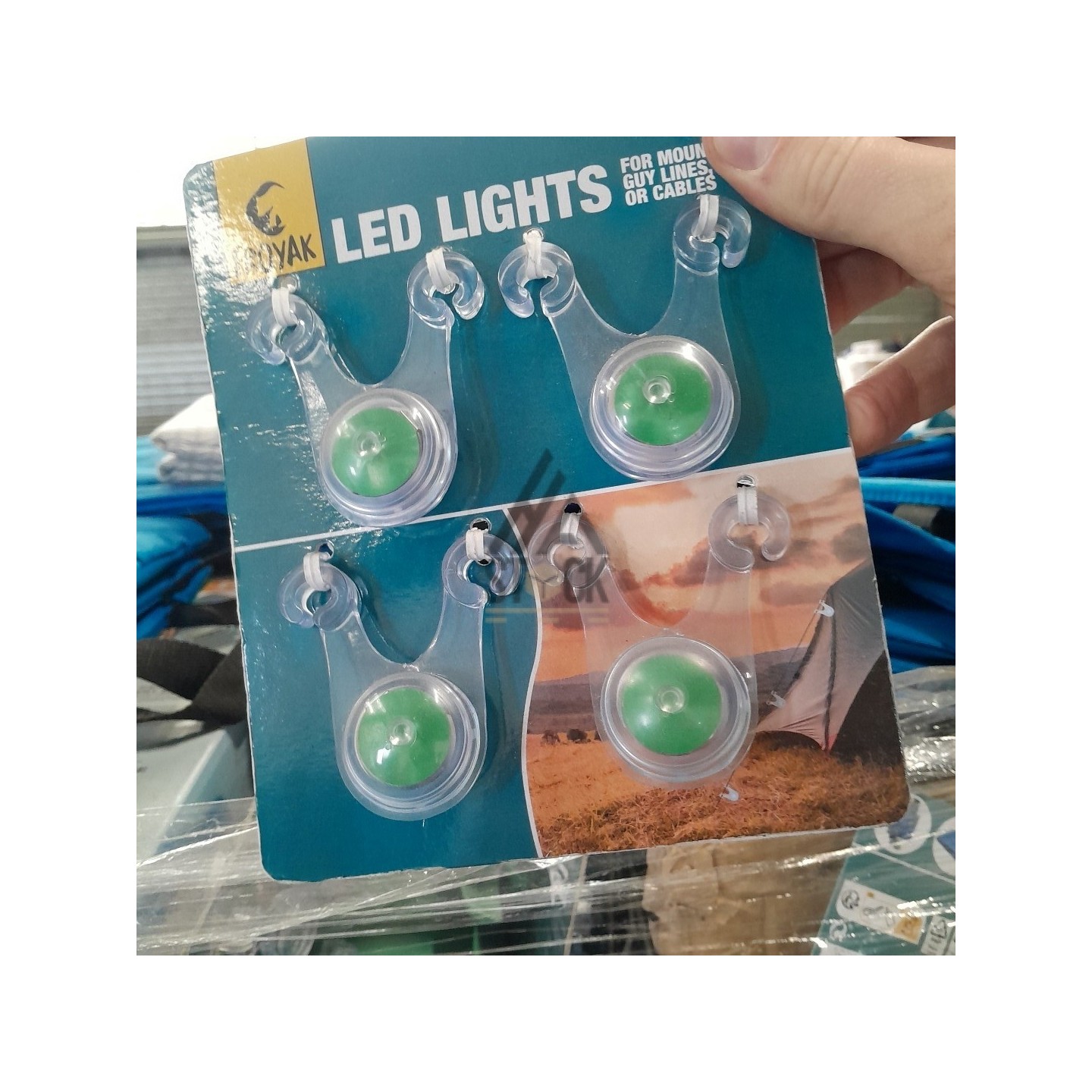 PALETTE A****N - A261