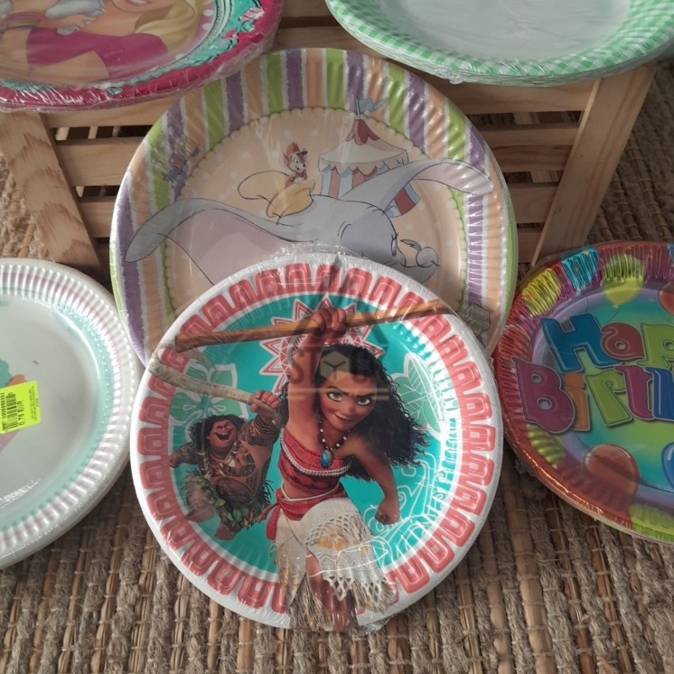 Assiette jetable - 100 paquets