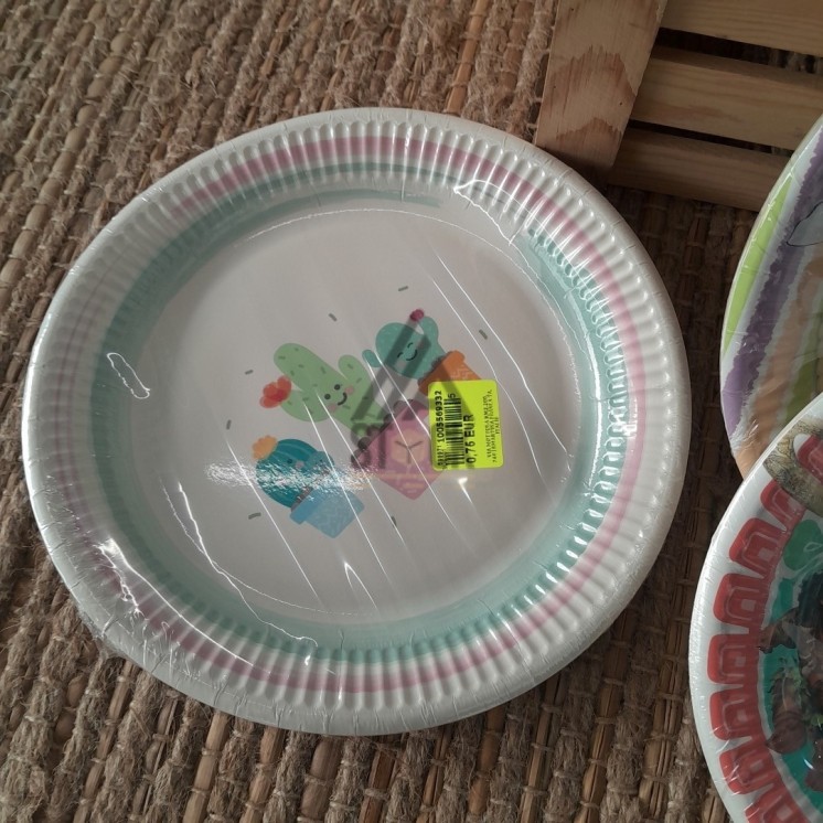 Assiette jetable - 100 paquets